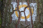 turistajelzés