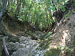 A szurdok