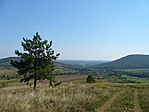 Fa a gerincen
