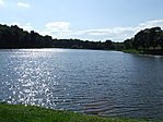 Tó