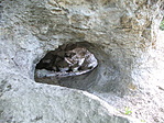 Lyuk a sziklában