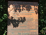 Erdő fohásza