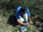 Loggolás