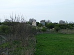 Romok