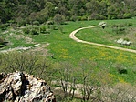 Lányok