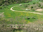 Lányok