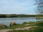 Tó