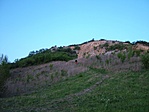 Domb