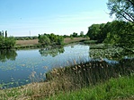 Tó