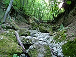Szurdok