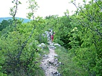 Lányok