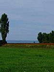 Tájkép.
