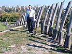 fa oszlopok