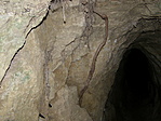 gyökerek