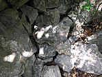 Ládarejtek