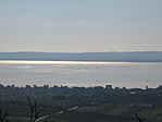 Balatonon sok sok vitorlás