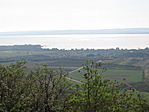 Balaton