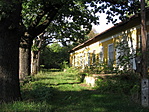 Parkrészlet