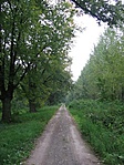 Arra tovább