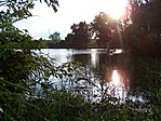 A kis tavacska