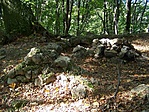 Falcsonkok
