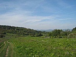 Visszafelé...