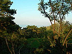 Panoráma a fáról