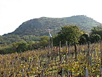 madárilyesztő