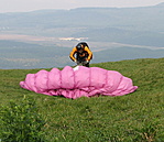 sikló ernyős