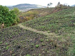 Kesserösvény