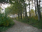 Túlsó part