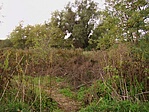 Geoösvény