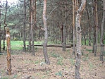 Jövet