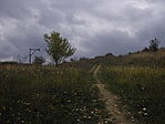 Senior kategóriában
