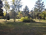 Park I.