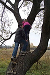 fára szegelt lépcső