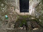 A forrás