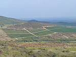 Szőlőművelés Tolcsván