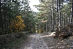 A kaptató