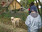 Marcipán