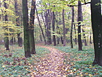 Park