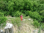 Zsu