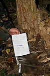 kép 3