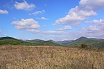 Panoráma