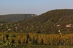 Panoráma