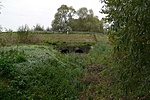 Patak