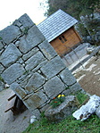 virágok