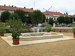 Szokokutak