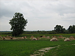 A lada kornyezete