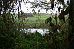kilátás